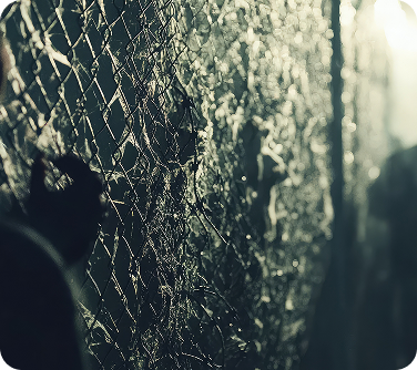 Scott V. Spina, Essex County criminal defense attorney, in his Bloomfield NJ office